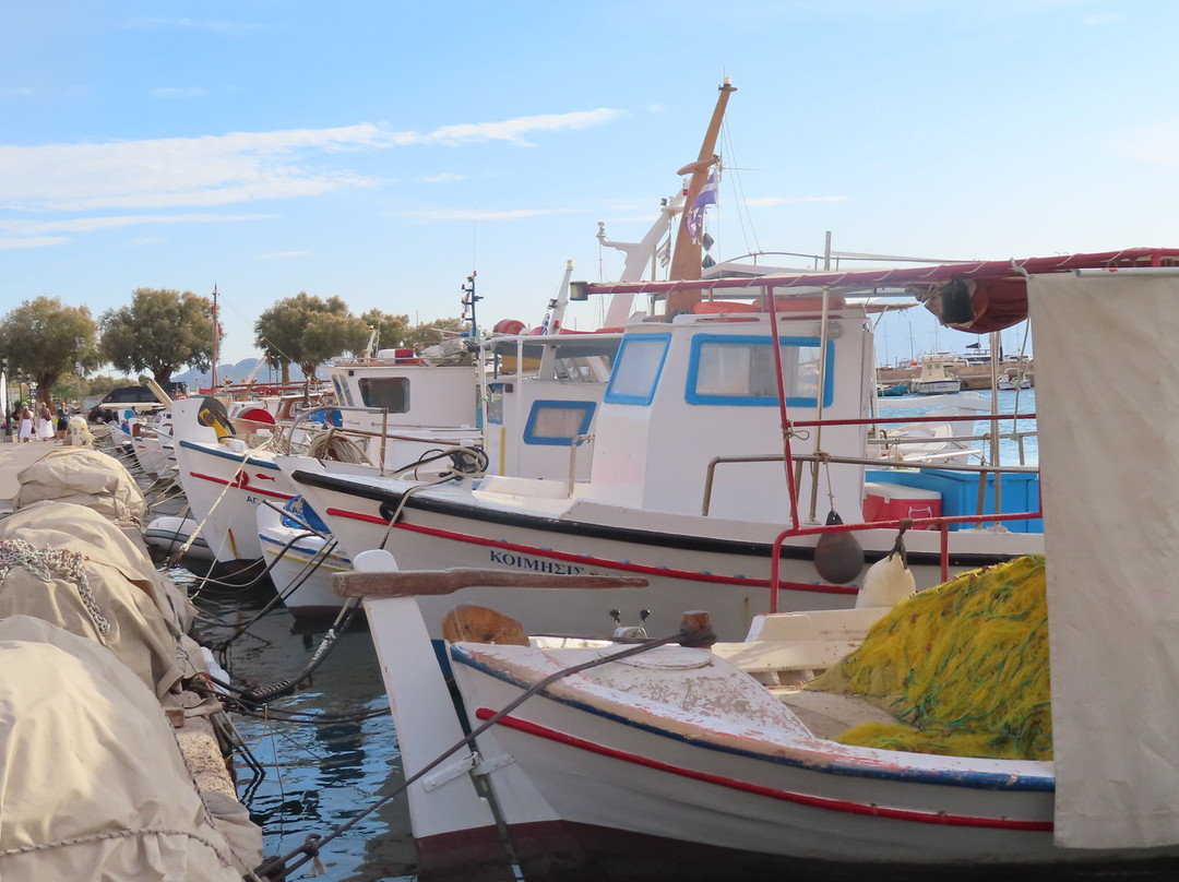 Aegina Waterfront景点图片