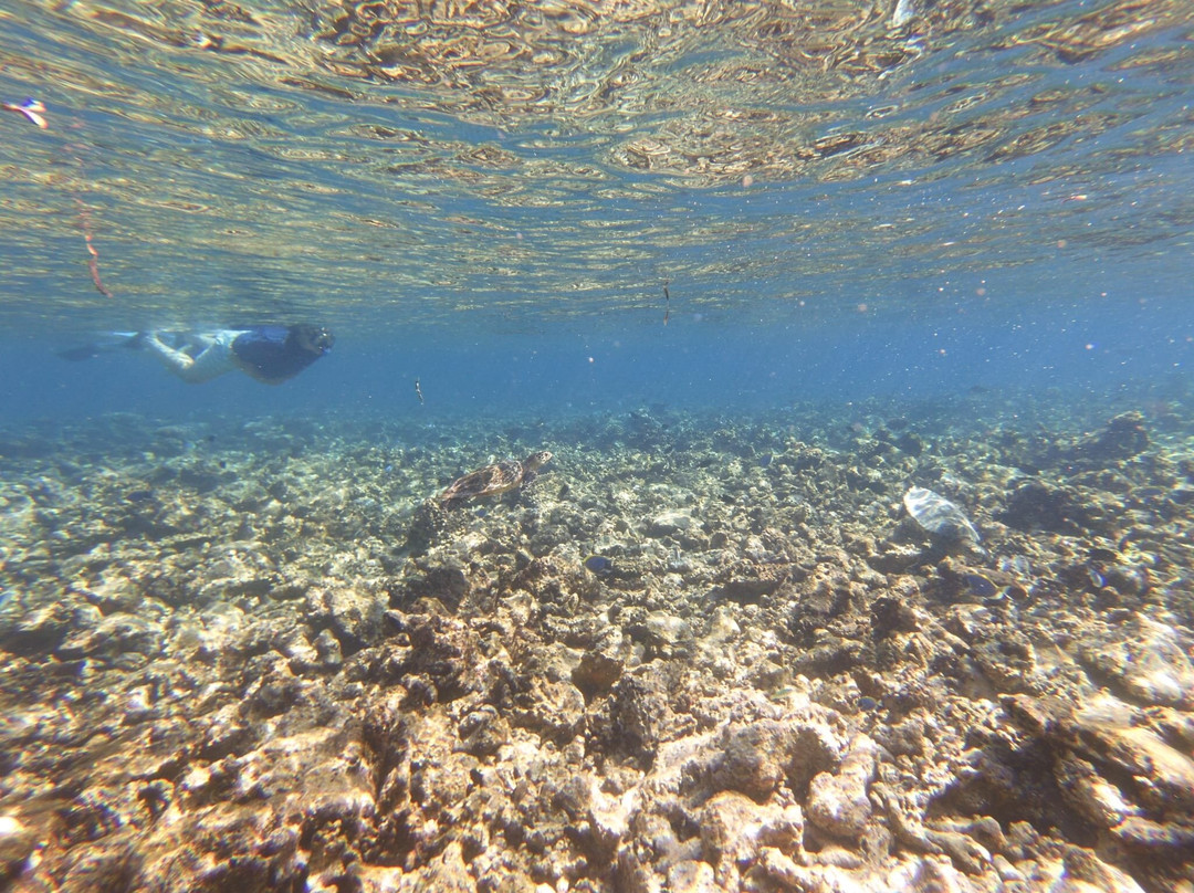 Deep Blue Divers-拉姆环礁必去景点