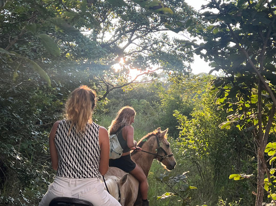 Mirador Equestrian-Playa Avellanas必去景点