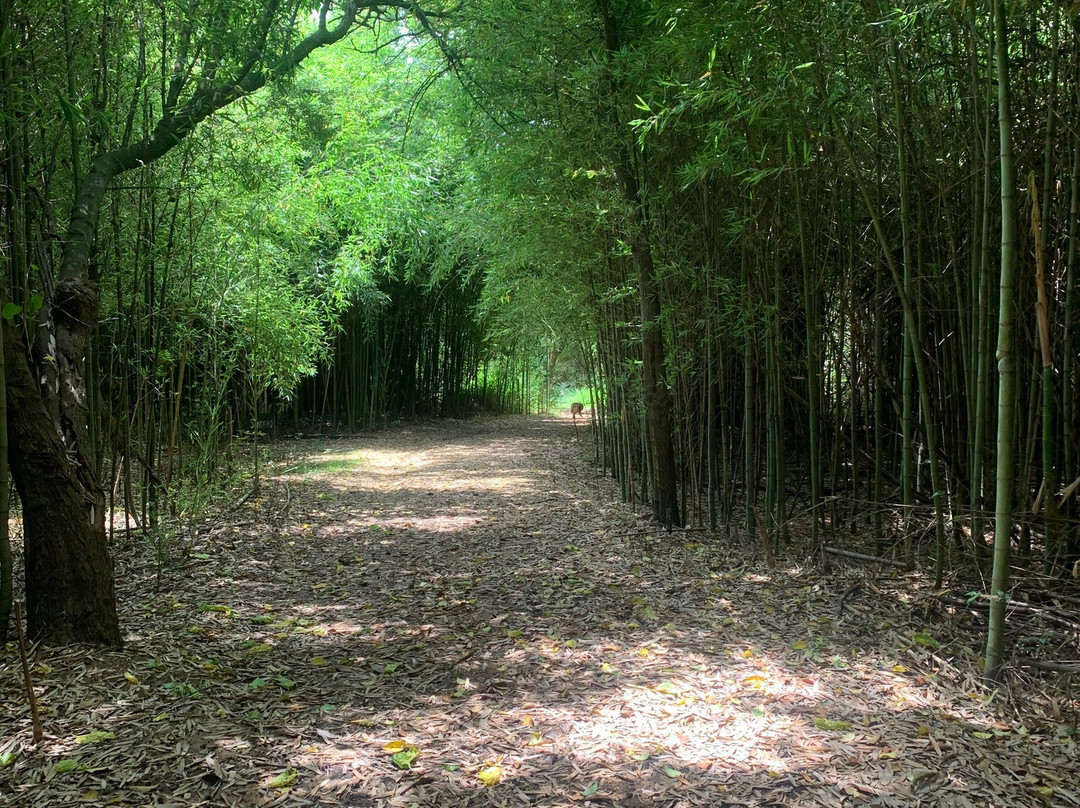 Complejo Costa Alta主图