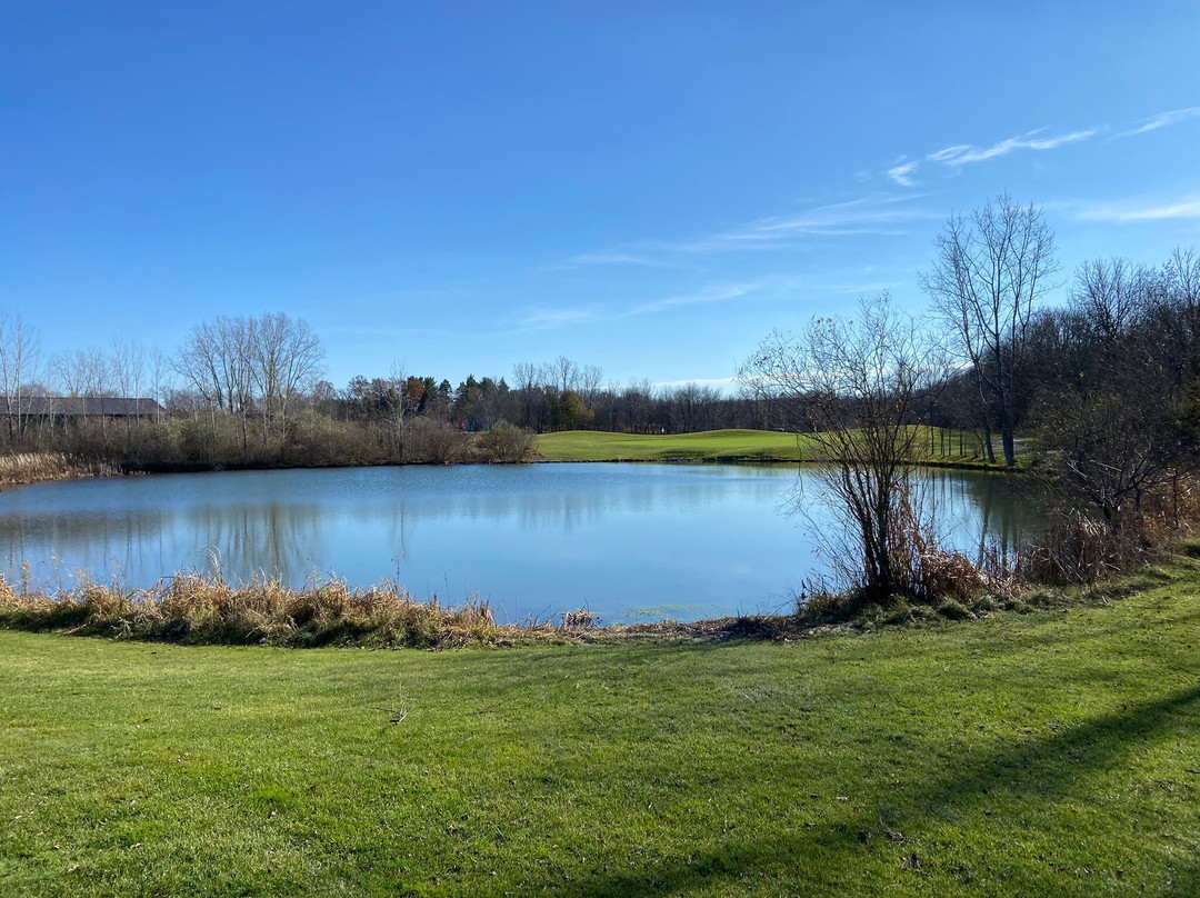 Willow Wood Golf Club景点图片