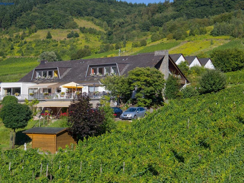 Enkirch酒店住宿-Gästehaus Heidhof