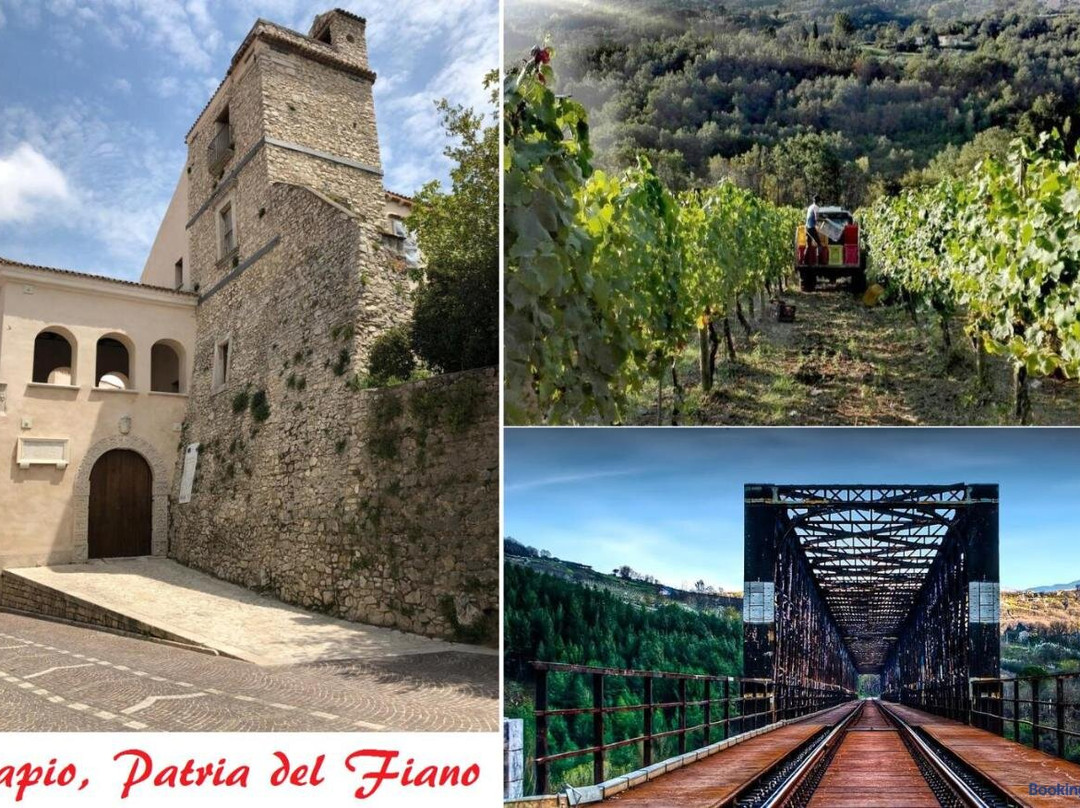 B&B Il Tiglio