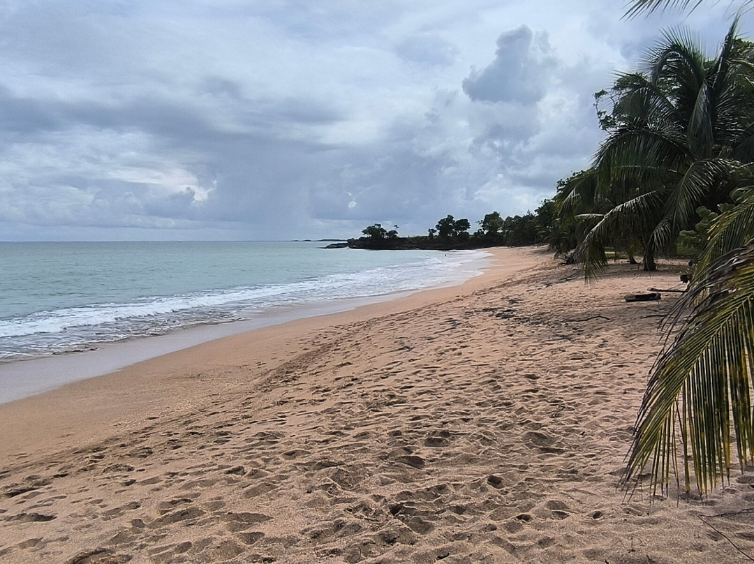 Pointe Allegre-Sainte Rose必去景点