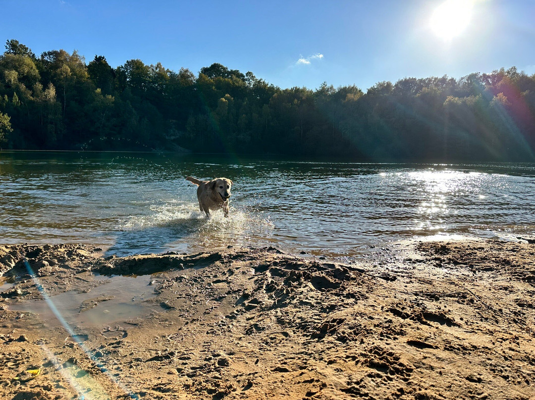Bawsey Country Park-金斯林必去景点