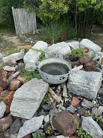 Cheshire Hall Plantation-普罗维登西亚莱斯必去景点