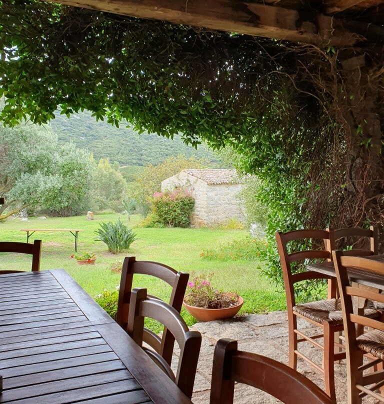 Piero Mancini Vineyards (Balajana Estate)-Luogosanto必去景点