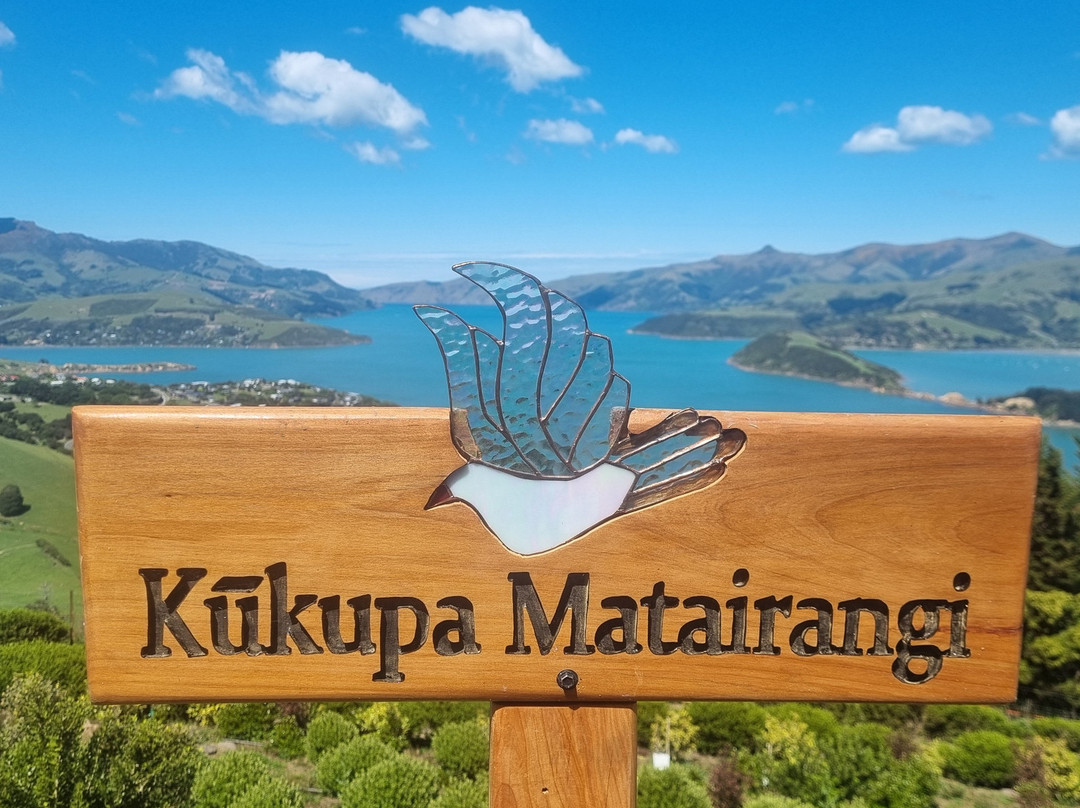 Akaroa Lavender