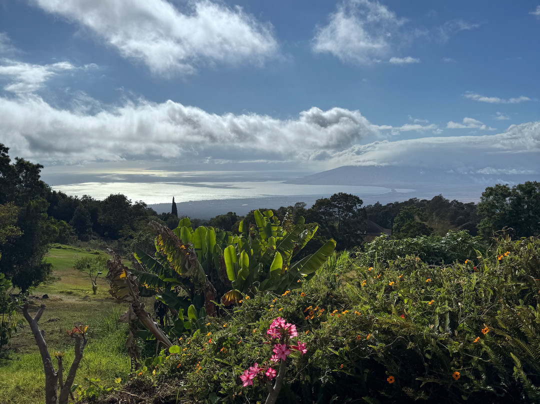 The Curtis Wilson Cost Gallery-库拉必去景点