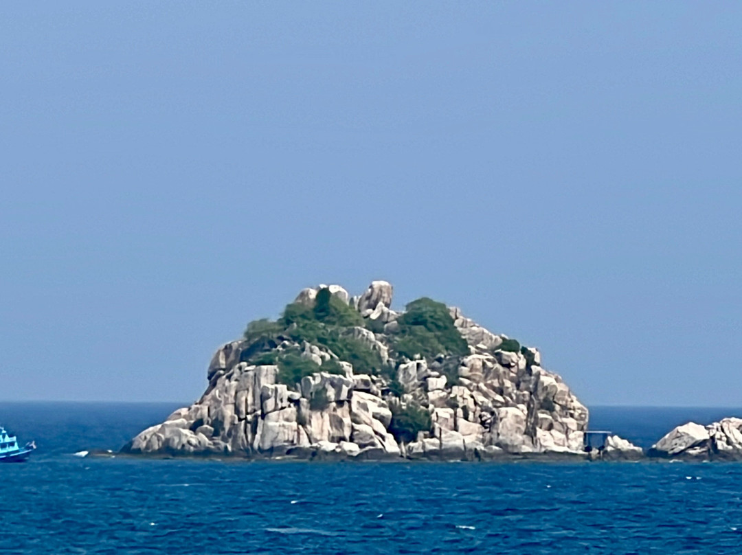 Free Beach To Shark Bay-涛岛必去景点