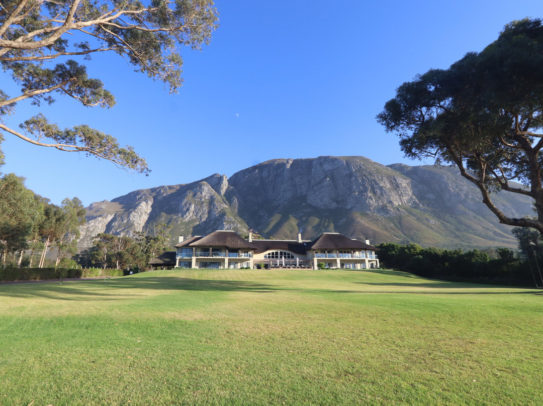 The Thatch House Boutique Hotel主图