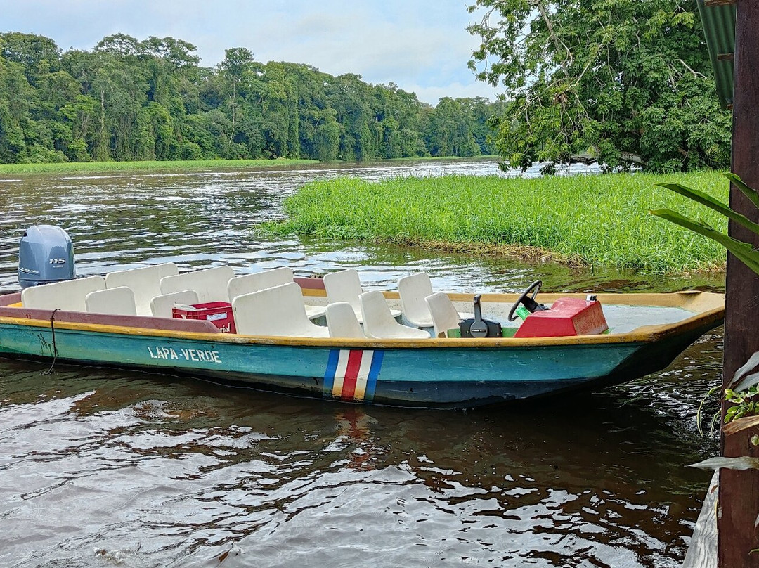 Caribbean Paradise Eco-Lodge主图