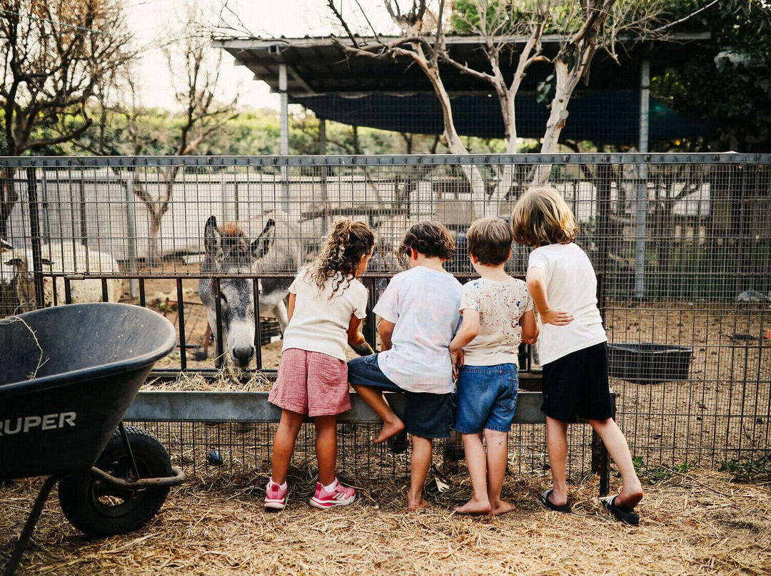 Farm to Table - Halbrecht Farm Food Garden-Kfar Vitkin必去景点