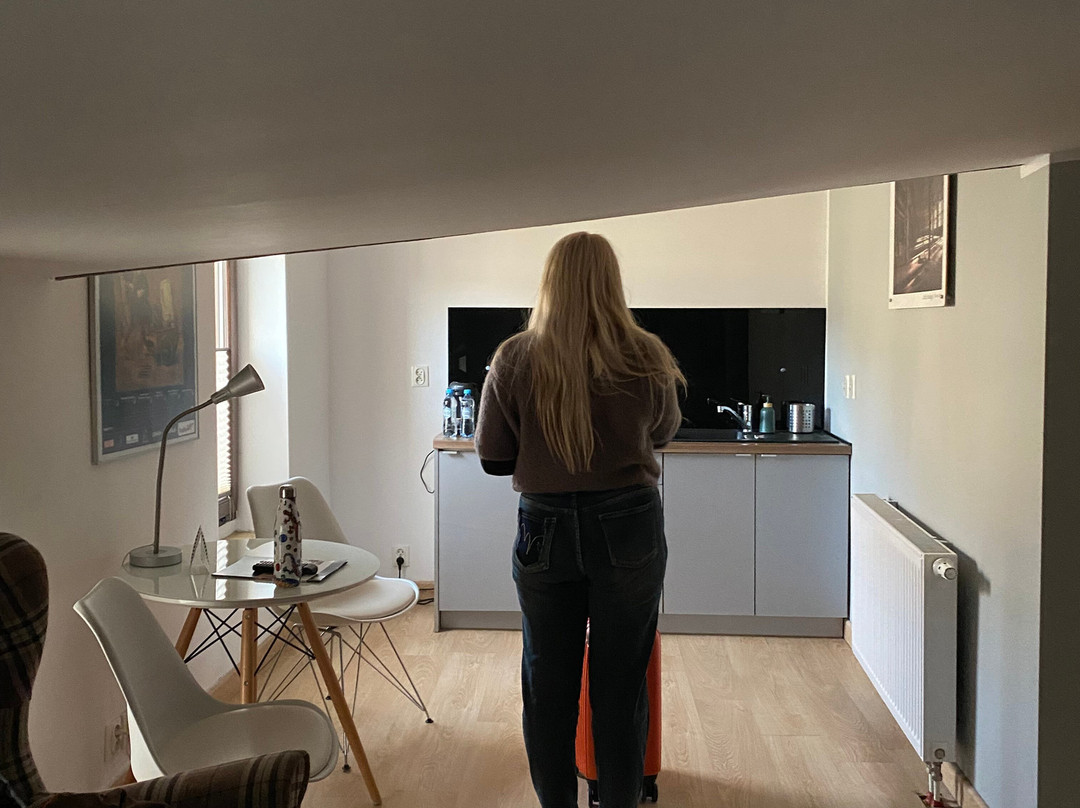 Stare Kino Cinema Residence主图