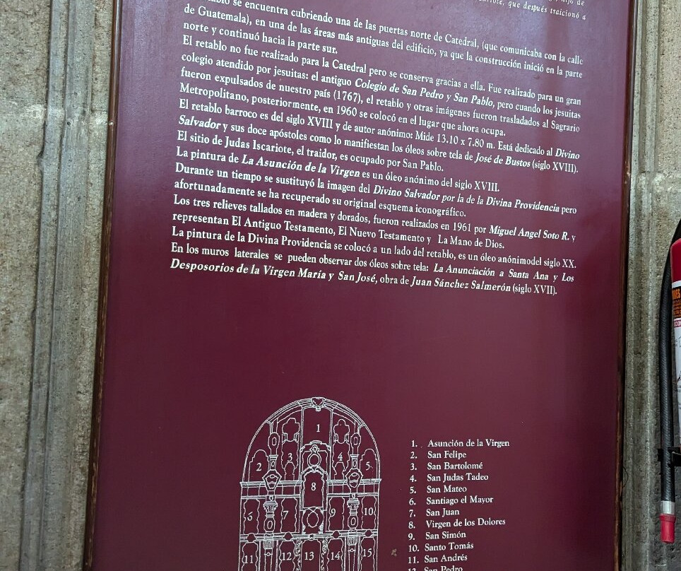 Pies descalzos-墨西哥城必去景点