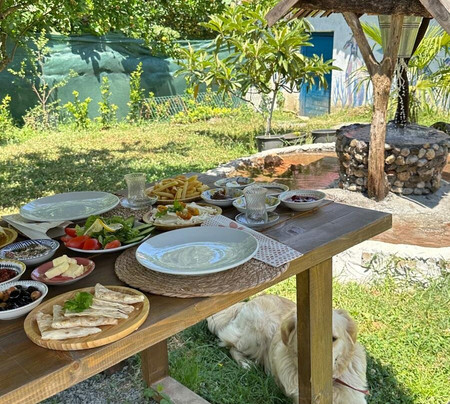 Kartepe Organik Ürünler | Kahvaltı | Izgara