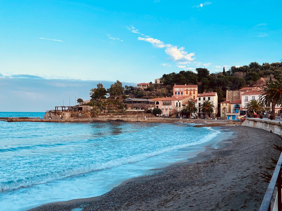 Plage de Collioure景点图片