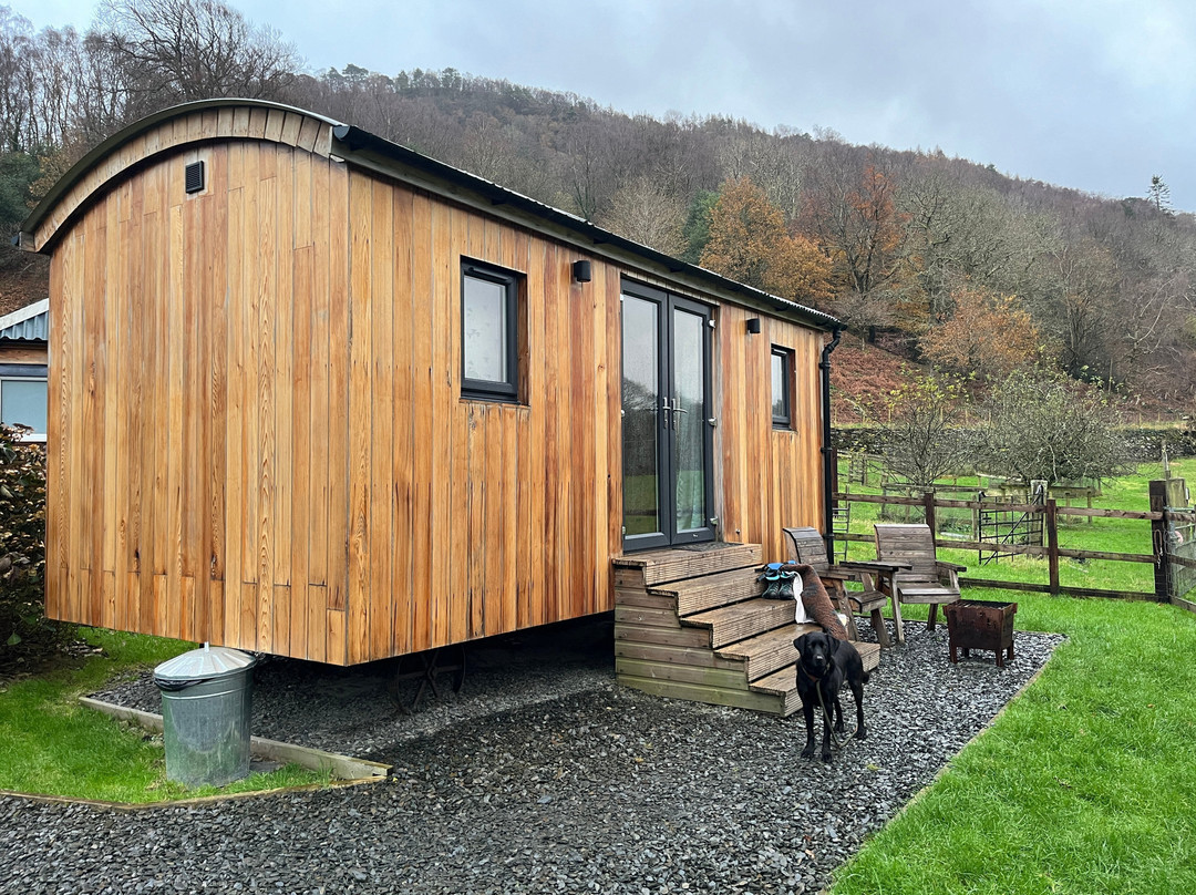 Abergwynant Farm Glamping & Apartments