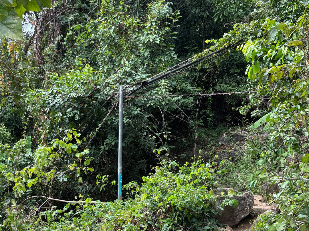 Power Pole Trail景点图片