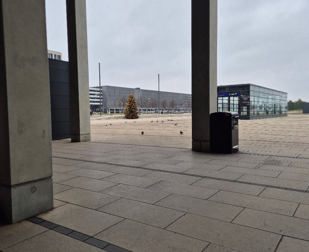 Willy Brandt Platz-舍内费尔德必去景点