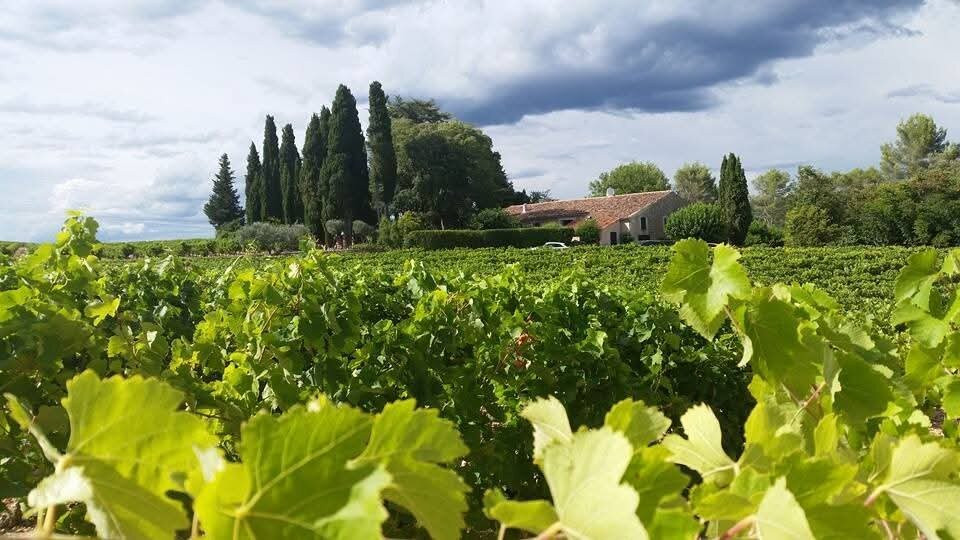 Château L'Arnaude主图