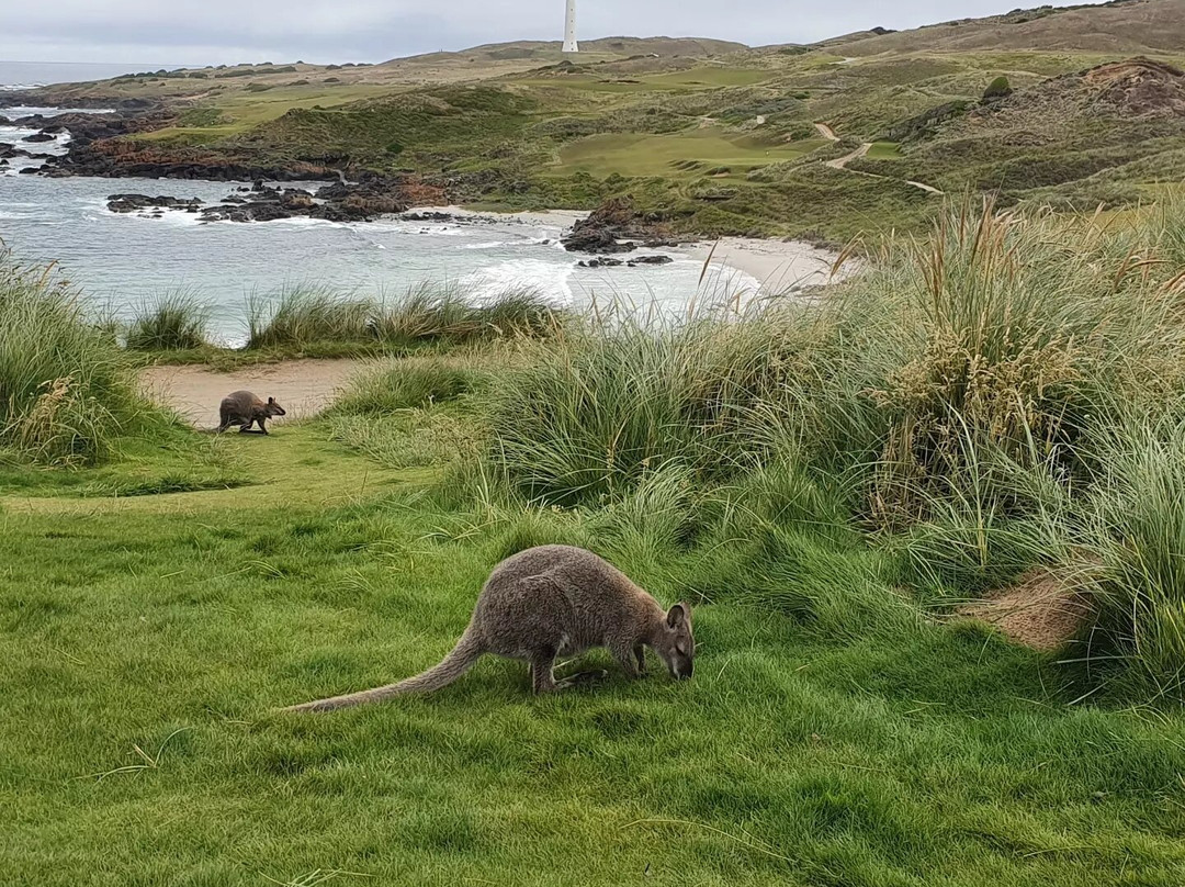 Cape Wickham Links-King Island必去景点