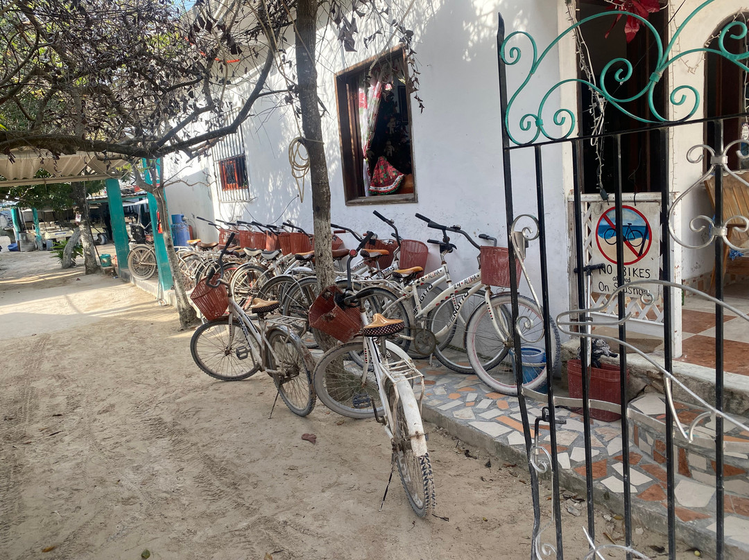 Bikes Holbox景点图片