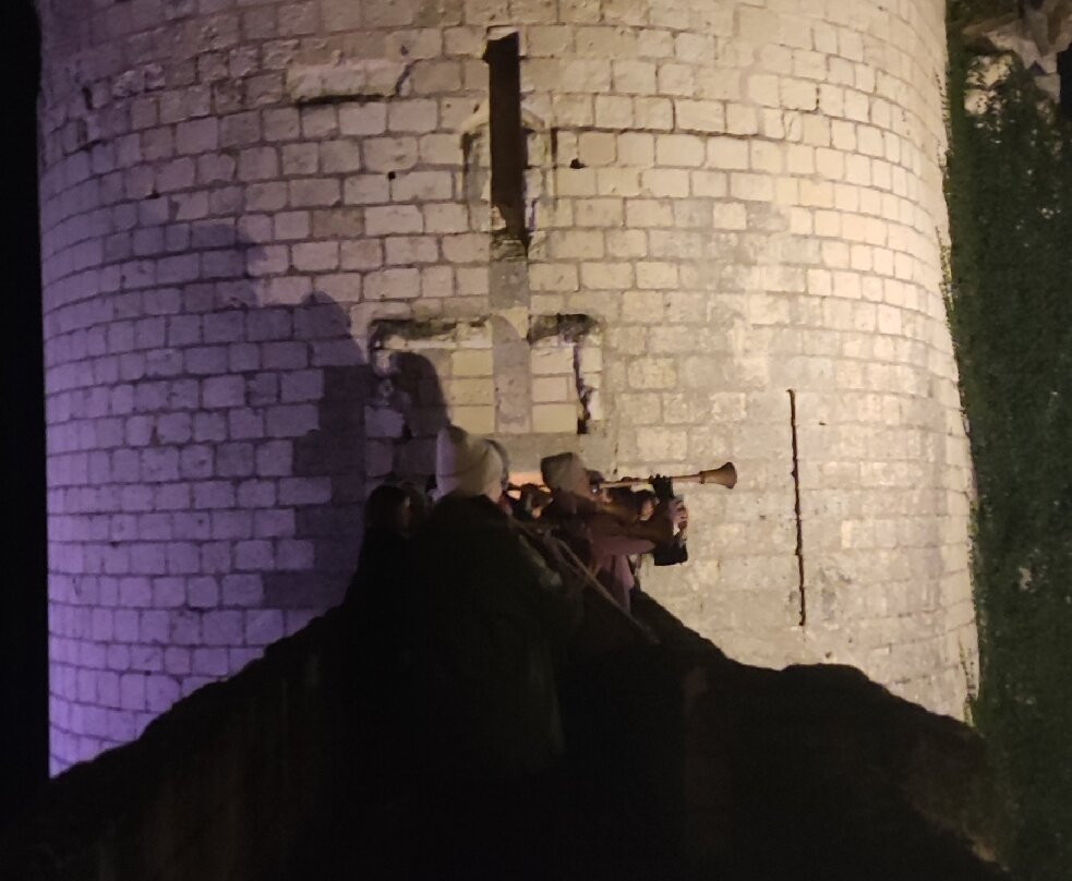 Forteresse royale de Chinon景点图片