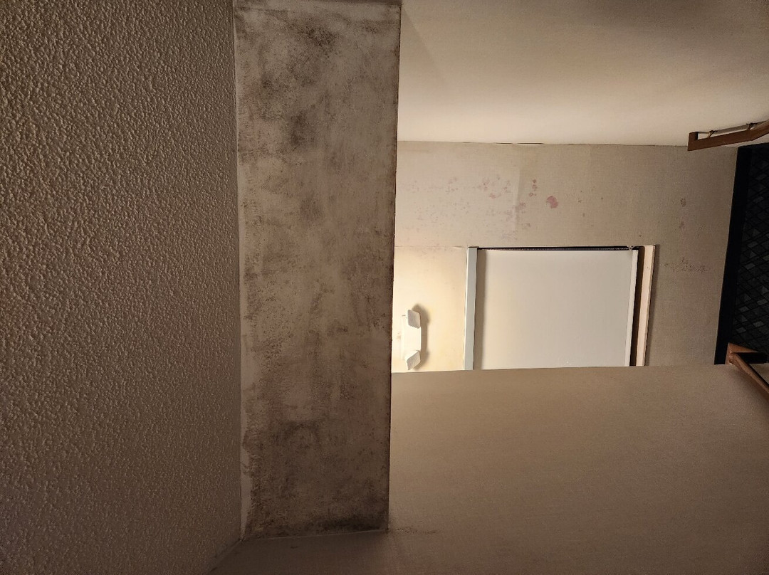 Courtyard by Marriott Lakeland主图