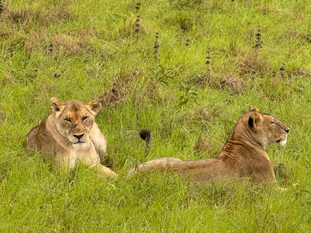 Ikaze Rwanda Tours & Travel-吉佳利必去景点