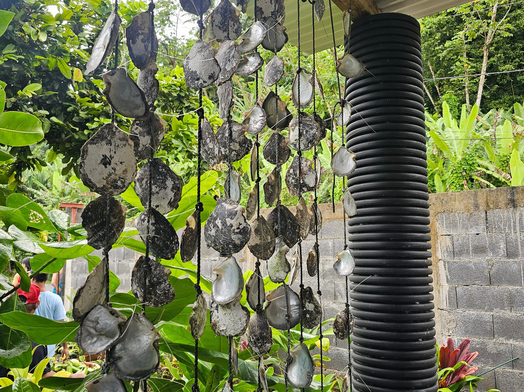Tahiti iti pearl farm - La Ferme Perlière Touristique de Tahiti-景点图片