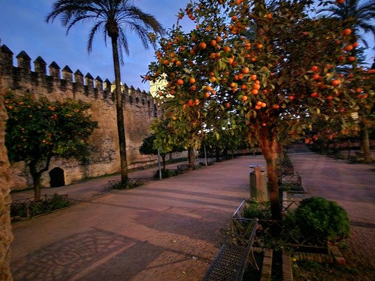 Free Tour Cultural-科尔多瓦必去景点