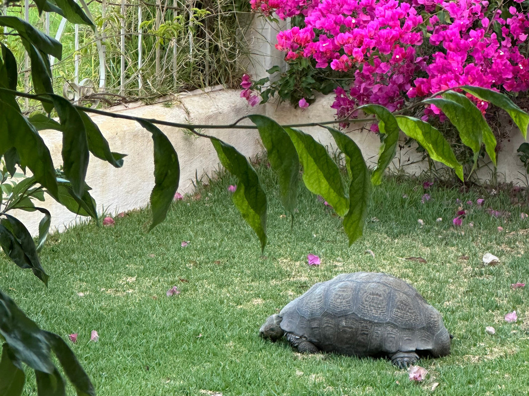 Point Africa Travel and Tours-开普敦中心区必去景点