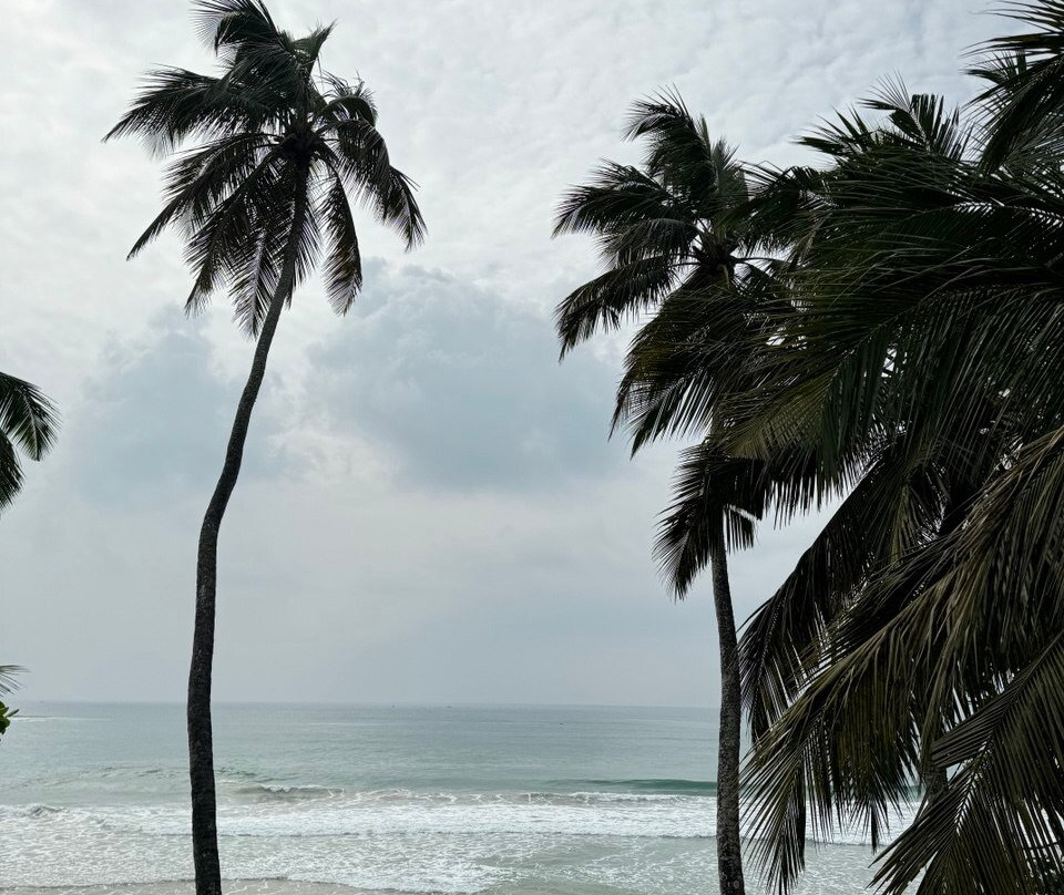 Smeralda Beach Hotel Dikwella主图