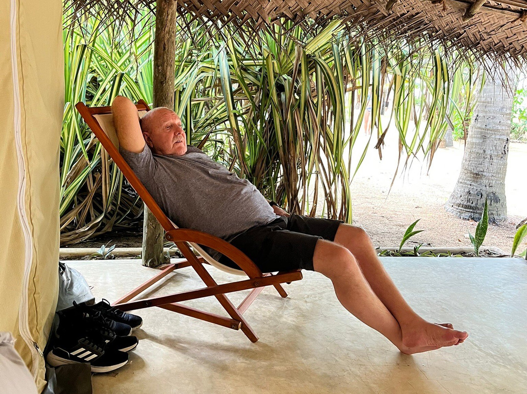 Dolphin Village主图