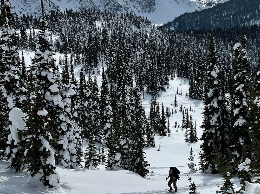 Wells Gray Adventures景点图片
