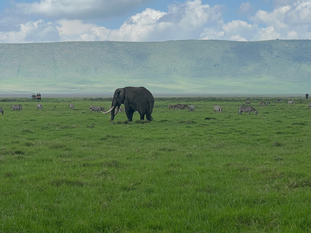 Kilitanzania Pride Tours and Safaris景点图片