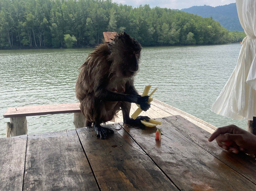 Thung Yee Pheng Mangrove Forest-兰塔岛必去景点