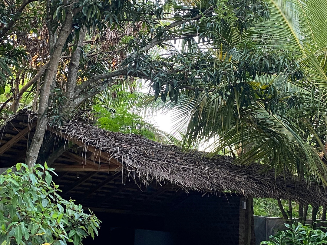 麦维里吉酒店主图