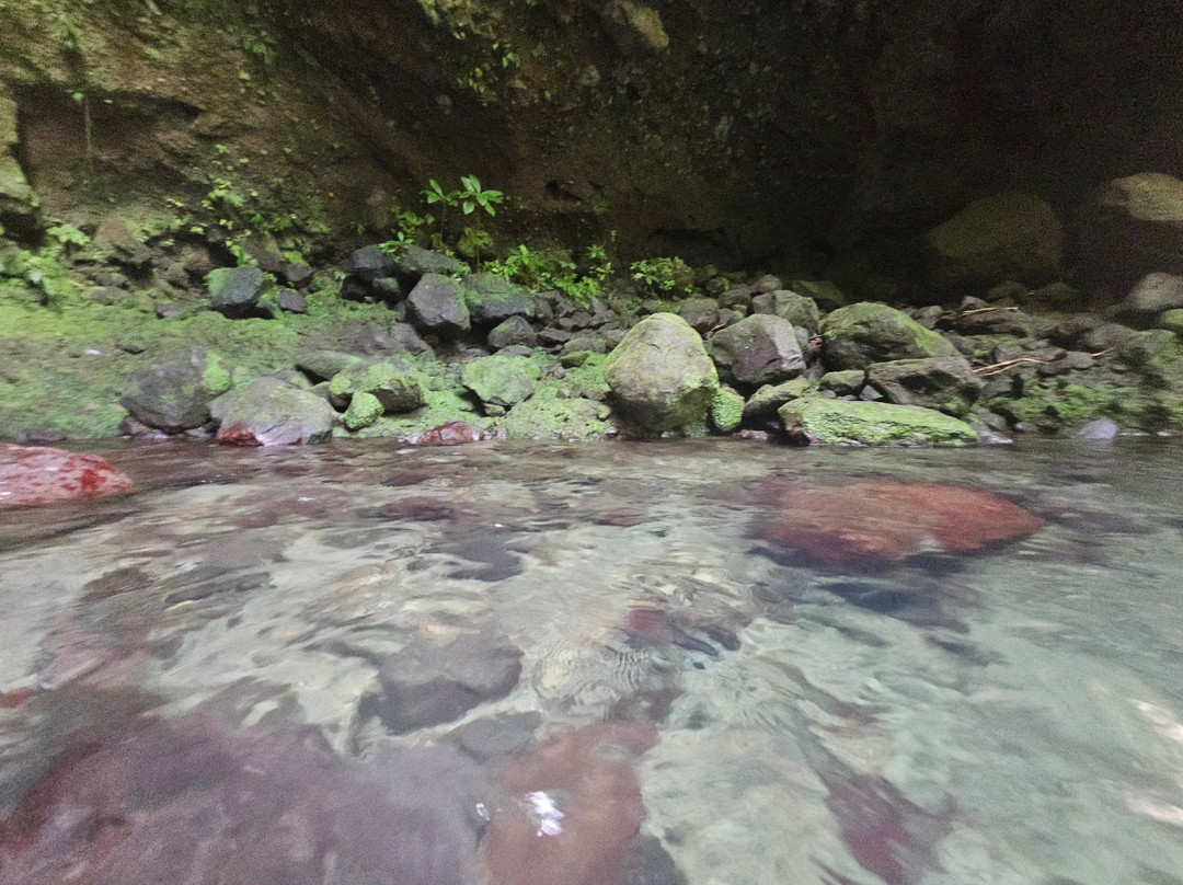 Jacko Falls-Morne Trois Pitons National Park必去景点