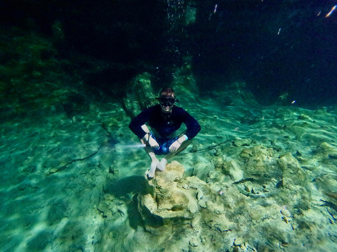 Monkeys Atvs Cancun-从莫雷洛斯港必去景点