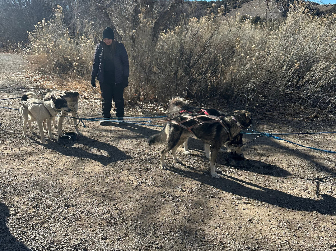 Mountain Paws-帕戈萨斯普林斯必去景点