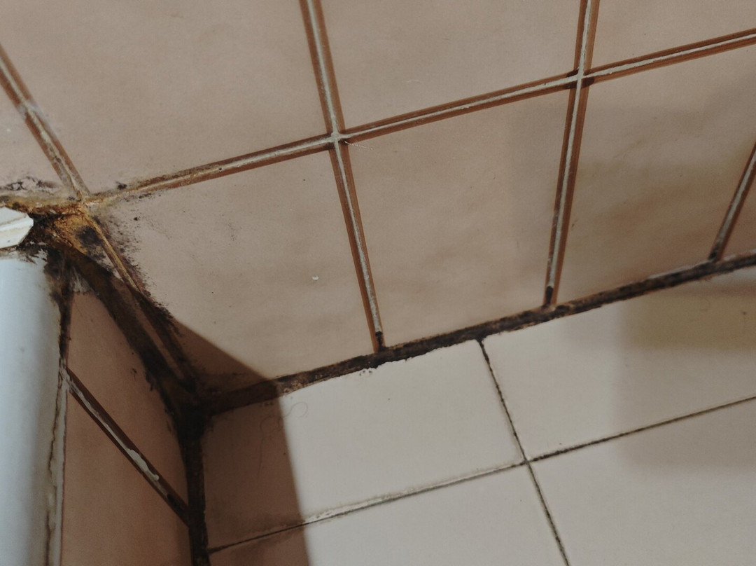 Hotel Top-Terme Topusko主图