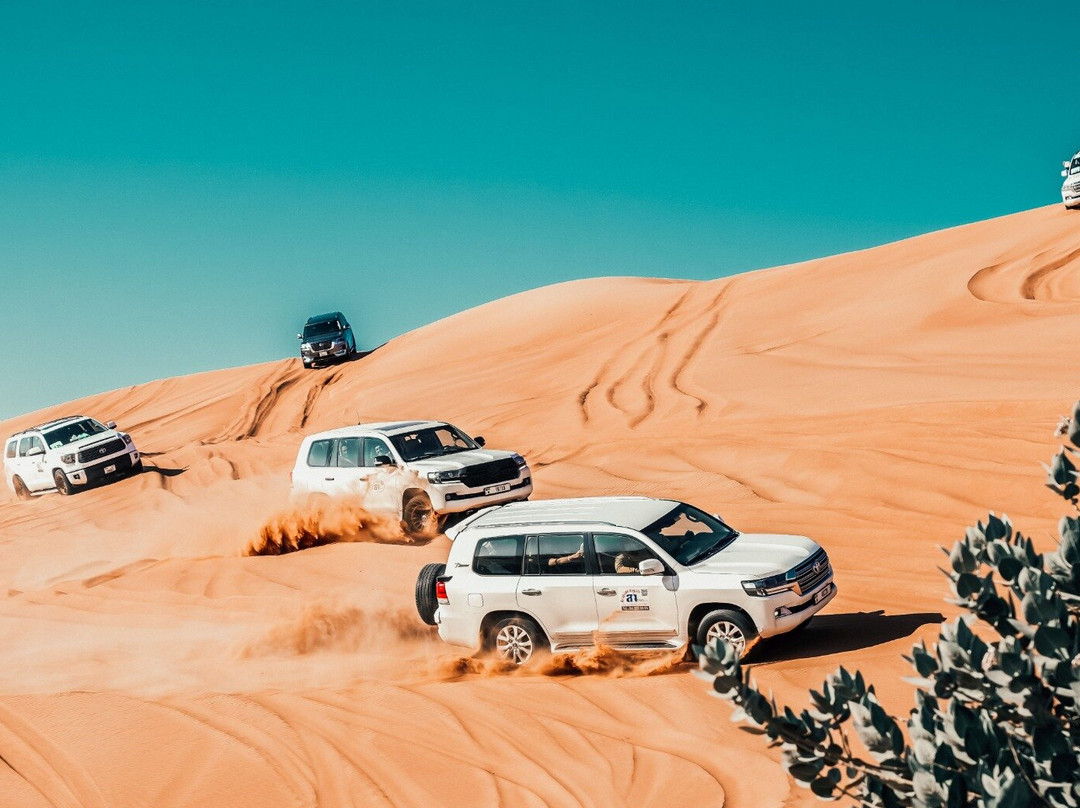 Arabian Nights Tours LLC景点图片
