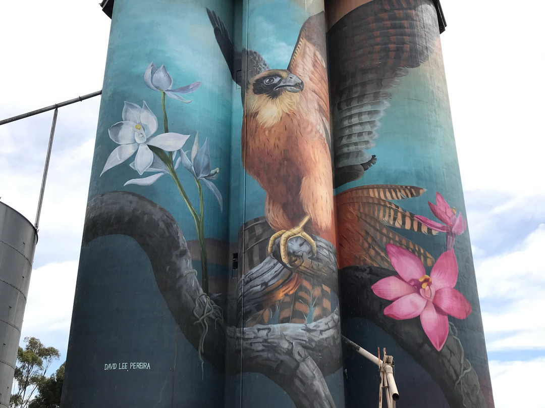 Kaniva Silo Art-Kaniva必去景点