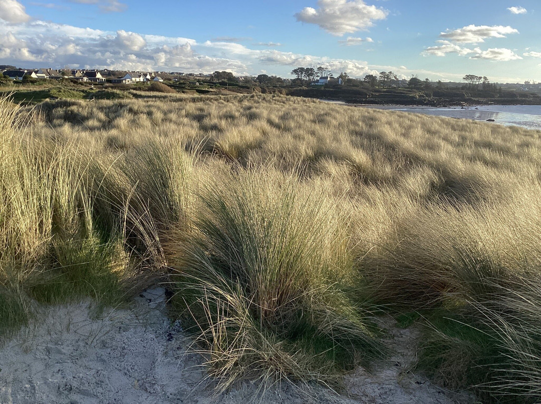 Plage Sainte Marguerite景点图片