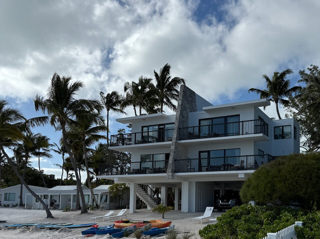 松树&棕榈树度假极度主图