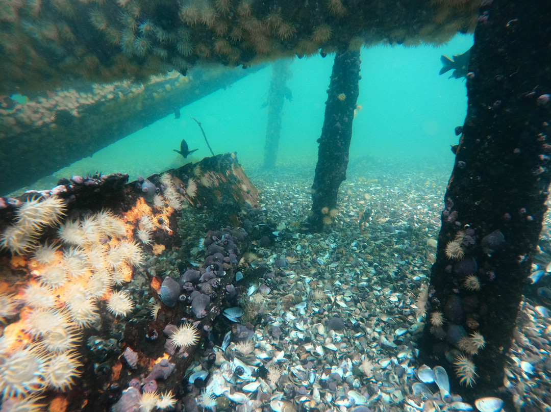 Sb Divers-利马必去景点