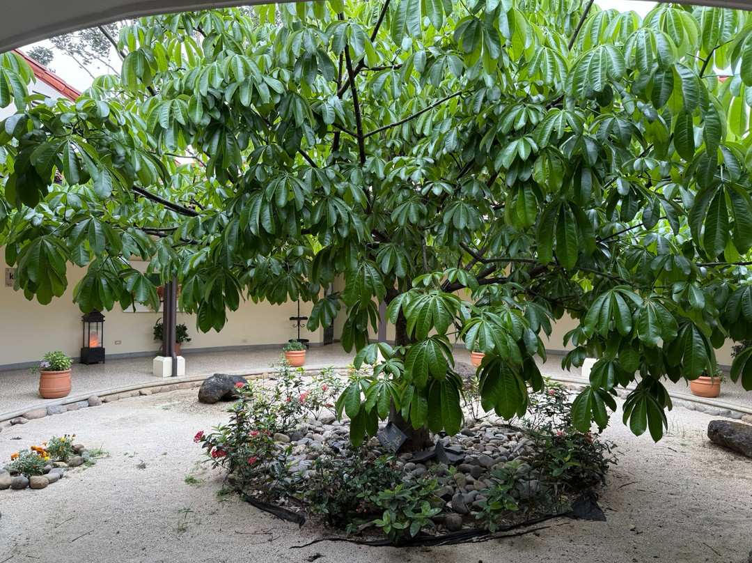 Kuo Spa-圣安东尼贝伦必去景点