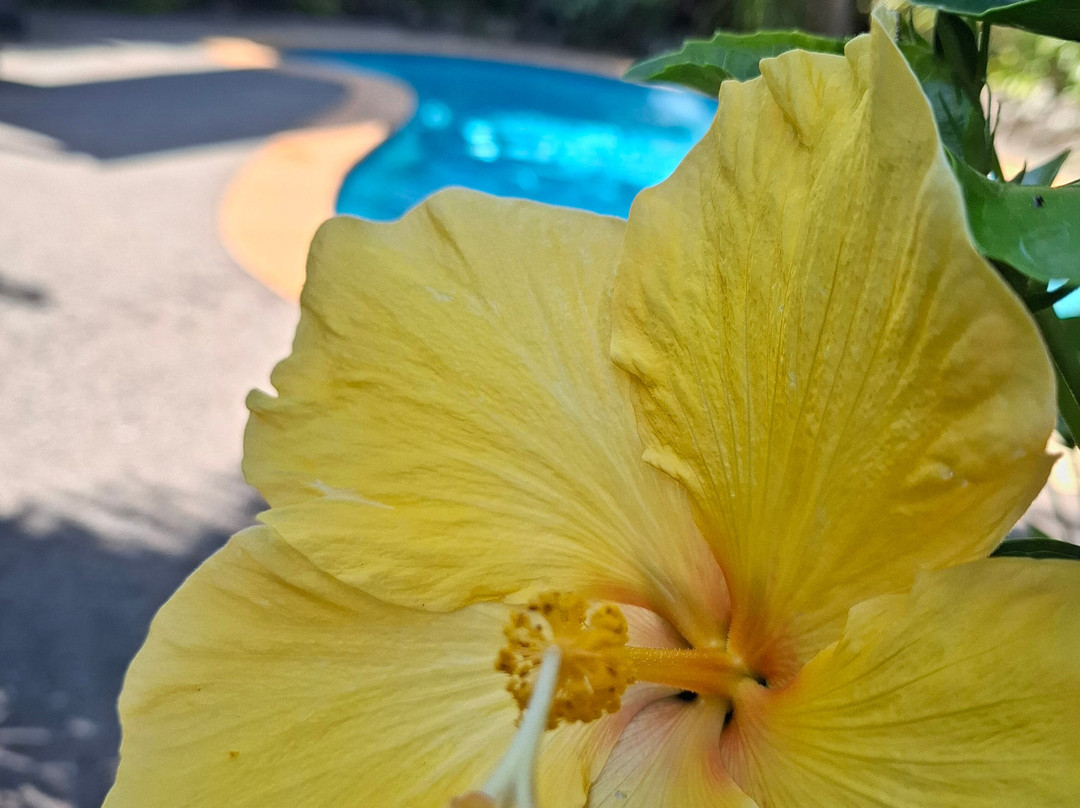 月亮门别墅酒店主图